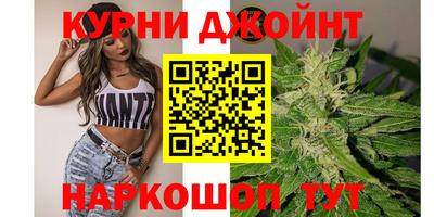 индика Изобильный