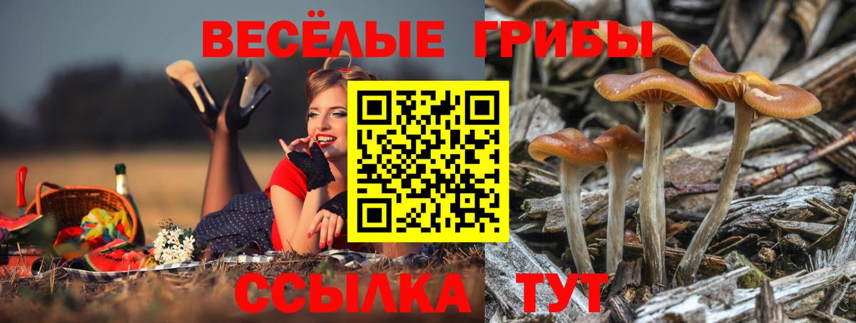 Псилоцибиновые грибы мухоморы Краснознаменск